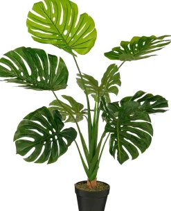 ohgreen Sfeermakers|Monstera in pot