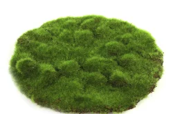ohgreen Sfeermakers|Mosschijf marchantiophyta m