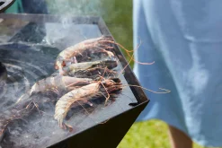 ohgreen Bbq|Nestor Original zwart