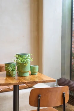 ohgreen Potten En Vazen|ORCHIDEEPOT D15 MOON GRASGRO