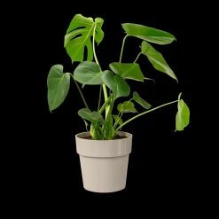 ohgreen Ecocheques|Potten En Vazen|ORIGINAL ROND 30CM WARM GRIJS