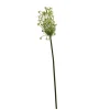 ohgreen Sfeermakers|Ornithogalum groen 71 cm