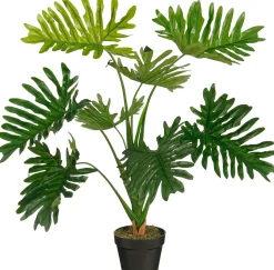 ohgreen Sfeermakers|Philodendron in pot