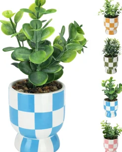 ohgreen Sfeermakers|Plant in keramische pot 18cm - 4ass