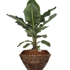 ohgreen Potten En Vazen|Planter fijn aardewerk bruin 31.5x31.5x20cm