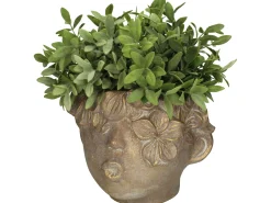 ohgreen Potten En Vazen|Planter gezicht beton goud