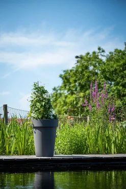 ohgreen Kunststof|Ecocheques|Pot