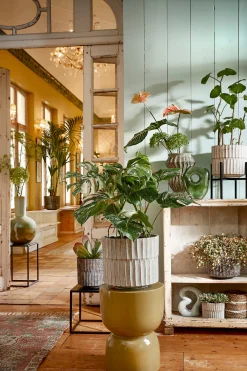 ohgreen Potten En Vazen|Pot apiro