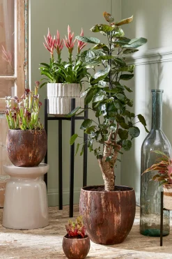 ohgreen Potten En Vazen|Pot apiro