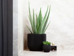 ohgreen Potten En Vazen|Pot bol groove 14x13