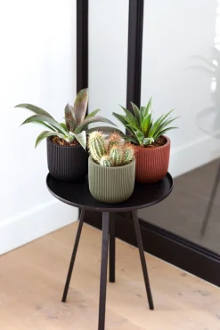 ohgreen Potten En Vazen|Pot bol groove 14x13