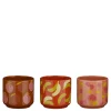 ohgreen Potten En Vazen|Pot fruit oranje roze paars 3 assorti display - h10,5xd12cm