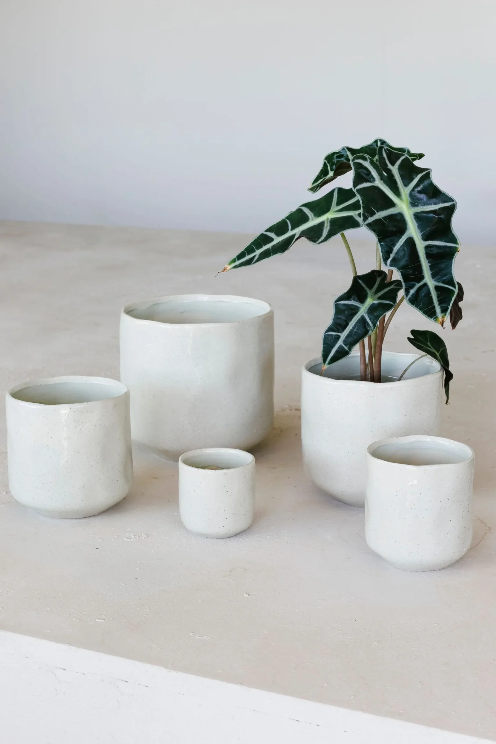 ohgreen Potten En Vazen|Pot glisten