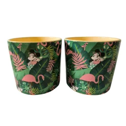 ohgreen Potten En Vazen|Pot groot mickey