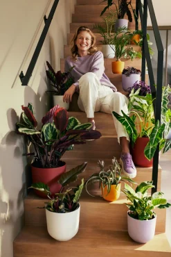 ohgreen Potten En Vazen|Ecocheques|Pot jazz rond 14cm lavendel lila