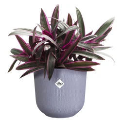 ohgreen Potten En Vazen|Ecocheques|Pot jazz rond 16cm lavendel lila