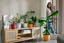 ohgreen Potten En Vazen|Ecocheques|Pot jazz rond 23cm zijdewit