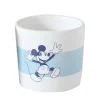 ohgreen Potten En Vazen|Pot klein mickey 3