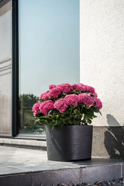 ohgreen Kunststof|Ecocheques|Pot Respect met reservoir 20x20h17 zwart-antraciet