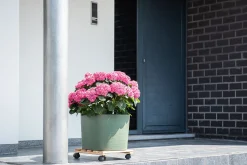 ohgreen Kunststof|Ecocheques|Pot Respect met reservoir 20x20h17 groen-grijs