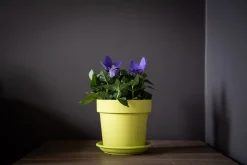 ohgreen Kunststof|Ecocheques|Pot rond happy 16 cm lime