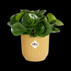 ohgreen Potten En Vazen|Ecocheques|Pot vibes fold 9cm botergeel
