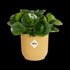 ohgreen Potten En Vazen|Ecocheques|Pot vibes fold 11cm botergeel