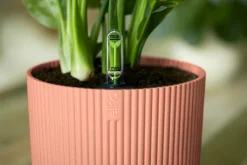 ohgreen Potten En Vazen|Ecocheques|Pot vibes fold 25cm delicate roze