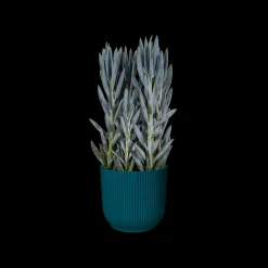 ohgreen Potten En Vazen|Ecocheques|Pot vibes fold 25cm diepblauw