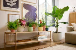 ohgreen Potten En Vazen|Ecocheques|Pot vibes fold 9cm diepblauw