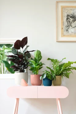 ohgreen Ecocheques|Potten En Vazen|Pot vibes fold 14cm diepblauw