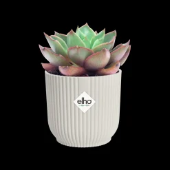 ohgreen Potten En Vazen|Ecocheques|Pot vibes fold 11cm zijdewit