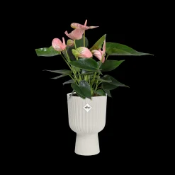 ohgreen Potten En Vazen|Ecocheques|Pot vibes fold coupe 14cm zijdewit