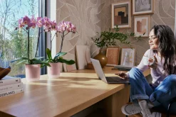 ohgreen Potten En Vazen|Ecocheques|Pot Vibes fold orchidee