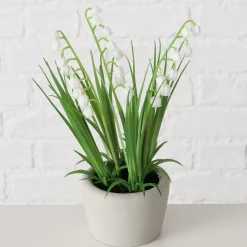 ohgreen Sfeermakers|Potplant