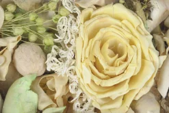 ohgreen Sfeermakers|Potpourri