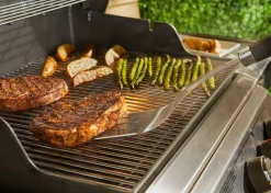 ohgreen Accessoires En Onderhoud|PRECISION BARBECUESPATEL