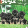 ohgreen Puzzel|Puzzle 1000 stuks Chiots/Puppies