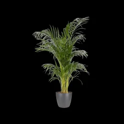 ohgreen Ecocheques|Potten En Vazen|Rond 14cm