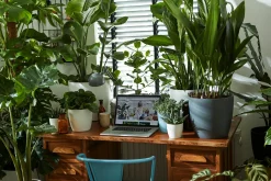 ohgreen Ecocheques|Potten En Vazen|Rond 14cm