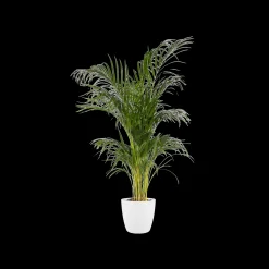 ohgreen Ecocheques|Potten En Vazen|Rond 14cm