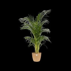 ohgreen Potten En Vazen|Ecocheques|Rond 14cm