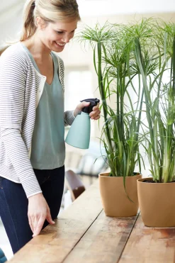 ohgreen Potten En Vazen|Ecocheques|Rond 14cm