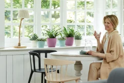 ohgreen Potten En Vazen|Ecocheques|Rond 16cm