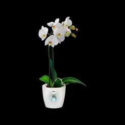 ohgreen Kunststof|Ecocheques|Rond 16cm