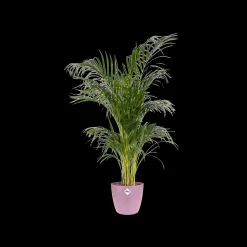 ohgreen Potten En Vazen|Ecocheques|Rond 18cm