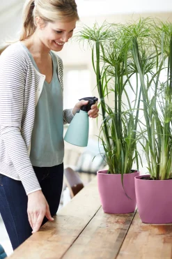 ohgreen Potten En Vazen|Ecocheques|Rond 18cm