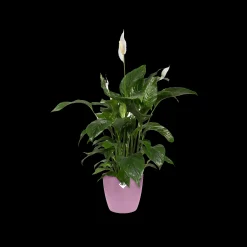 ohgreen Potten En Vazen|Ecocheques|Rond 18cm