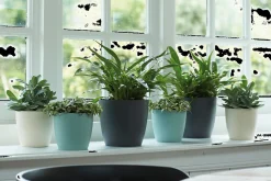 ohgreen Ecocheques|Potten En Vazen|Rond 20cm