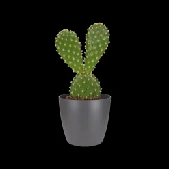 ohgreen Ecocheques|Potten En Vazen|Rond mini 7cm